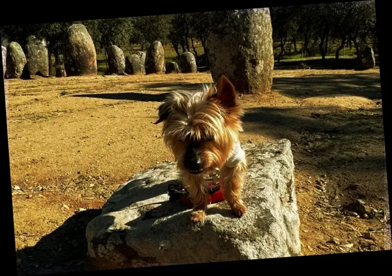 Almendres Cromlech