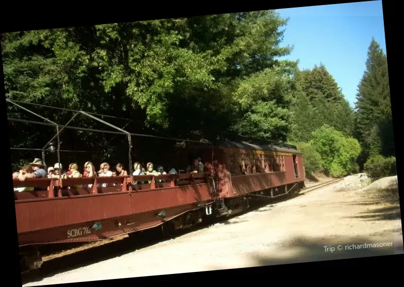 Roaring Camp