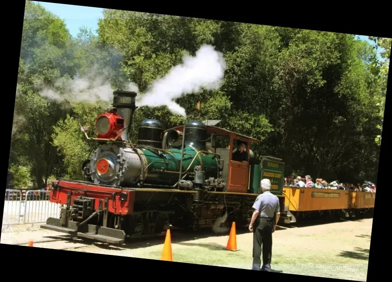 Roaring Camp