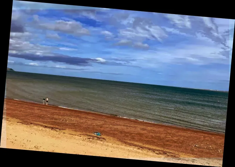 Rosemarkie Beach