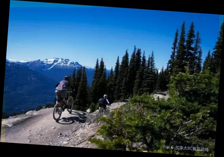 Whistler Mountain Bike Park