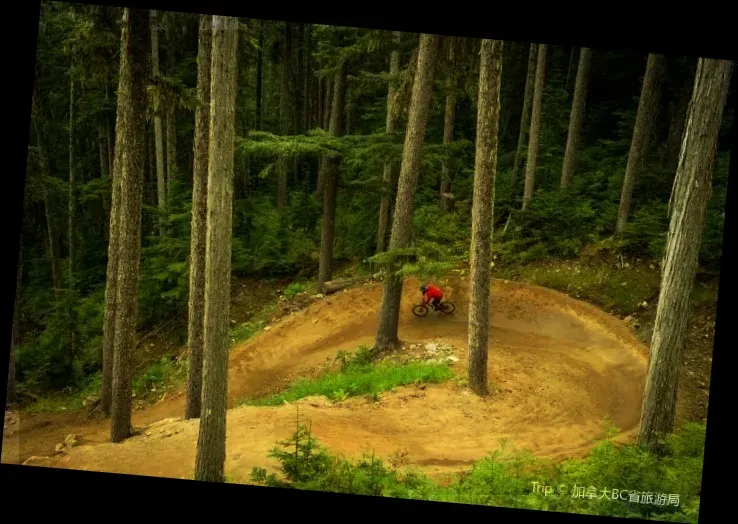 Whistler Mountain Bike Park