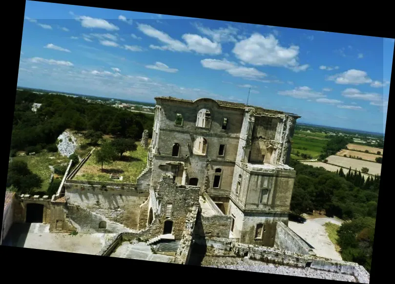 Abbaye de Montmajour