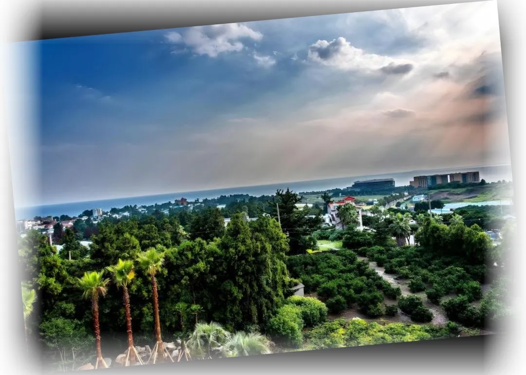 ___________image_7.webp