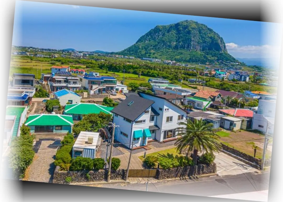 Rein_Jeju_Stay_image_8.webp